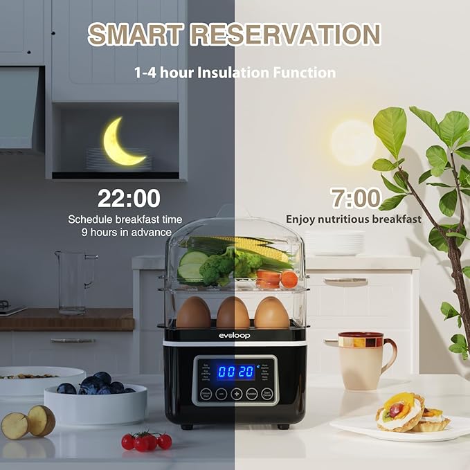 Unlock Healthy Cooking Made Simple: Meet the Evoloop 2 Tiers Electric  Steamer