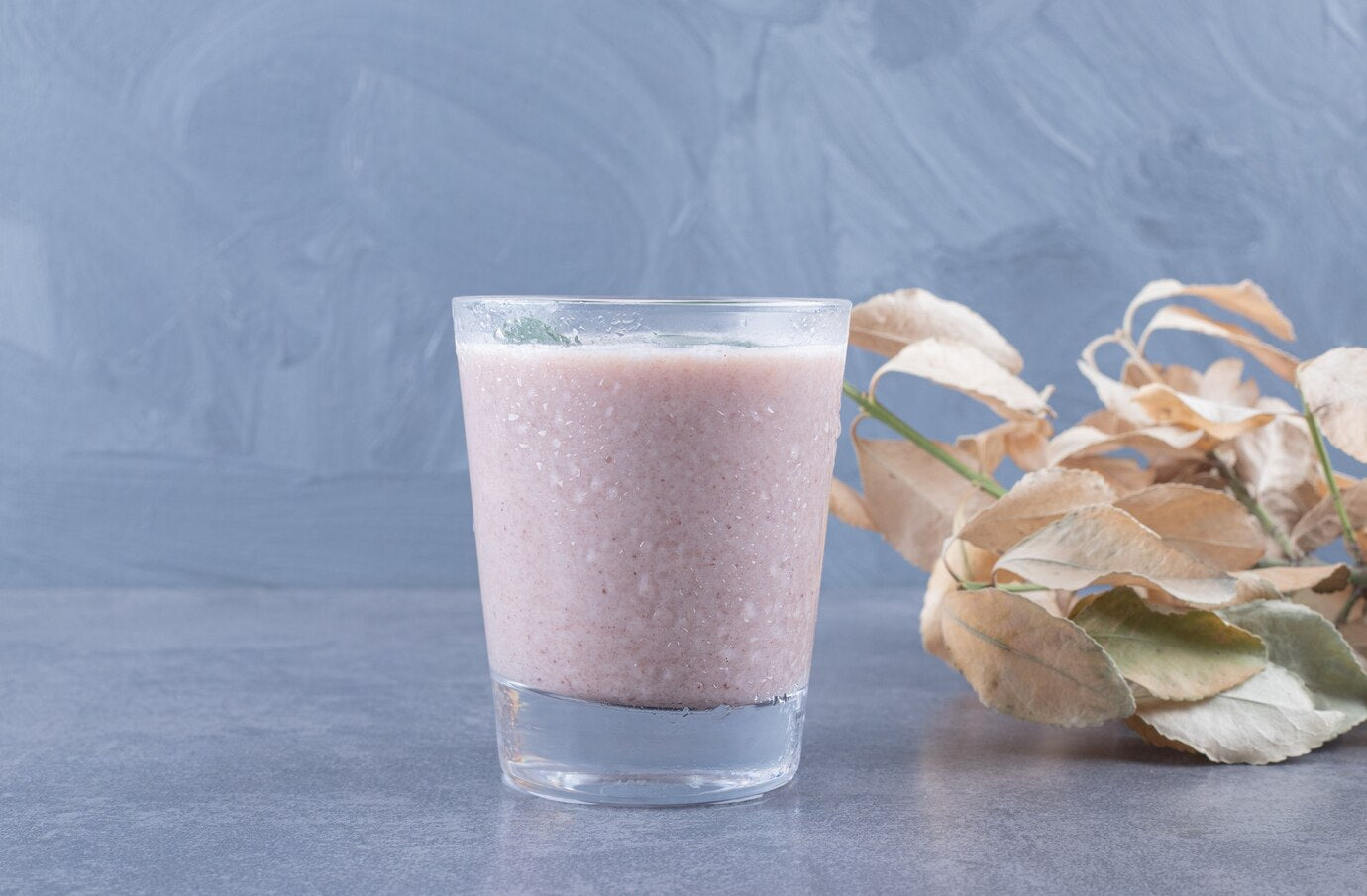 7 Reasons to Blend Your Fruits with Evoloop Blender