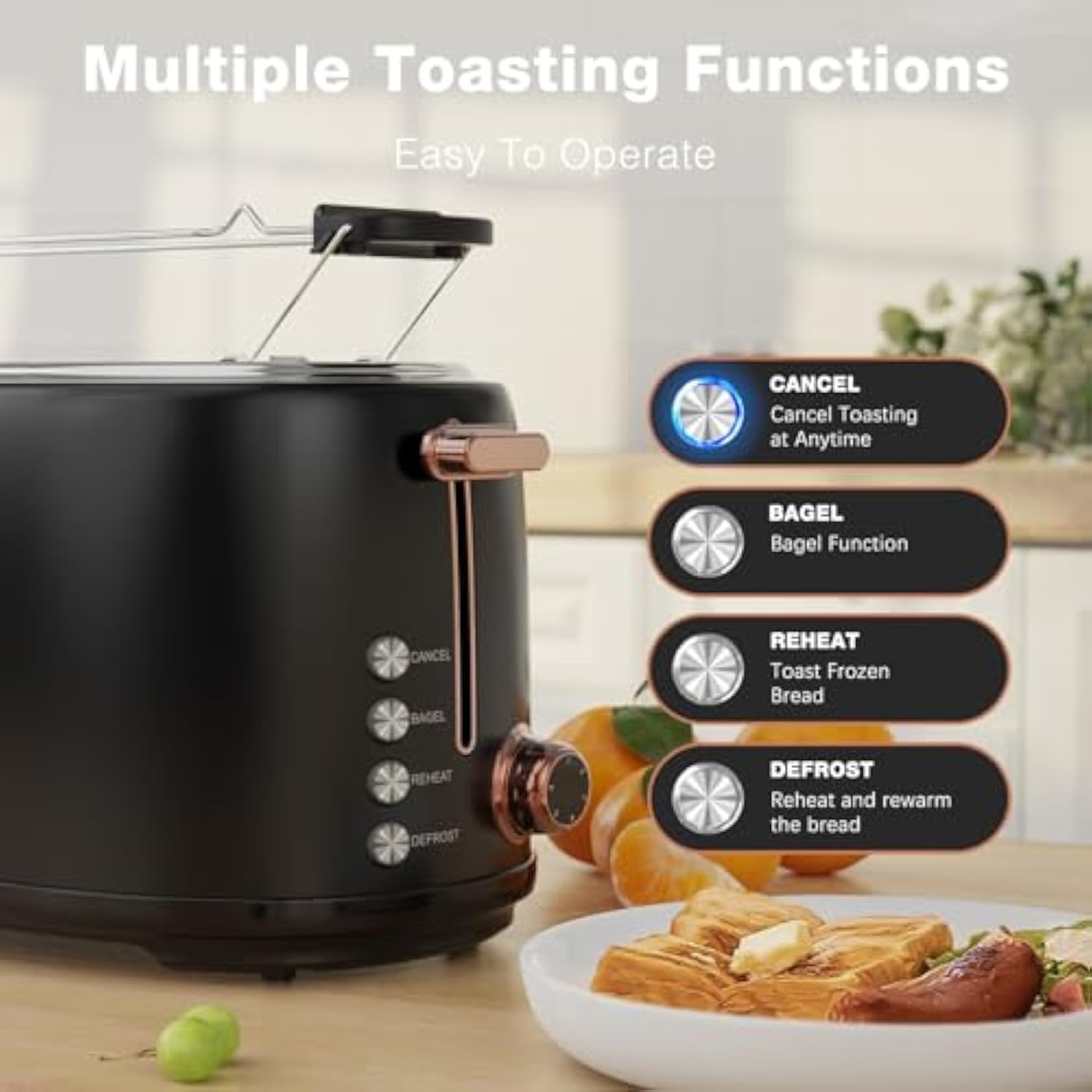 Evoloop Premium 2-Slice Stainless Steel Toaster with 6-Shade Browning Control